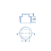 Plastic NPT Blanking Plugs
