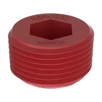 Hex Socket Threaded Plastic Plug Caps